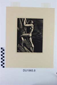 Image description is not available for DU1965.8